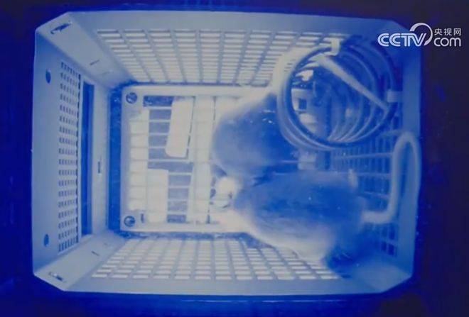 hga035怎么注册账号
_神舟二十一号升空！现在的问题是hga035怎么注册账号
，导师上天了，组会还开吗？