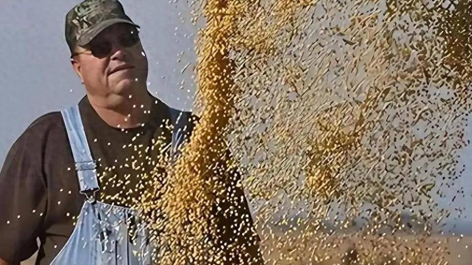 登1登2登3信用盘
_200万吨大豆烂港!巴西主动降价登1登2登3信用盘
,中国转头下单三船美国大豆,巴西自食其果了