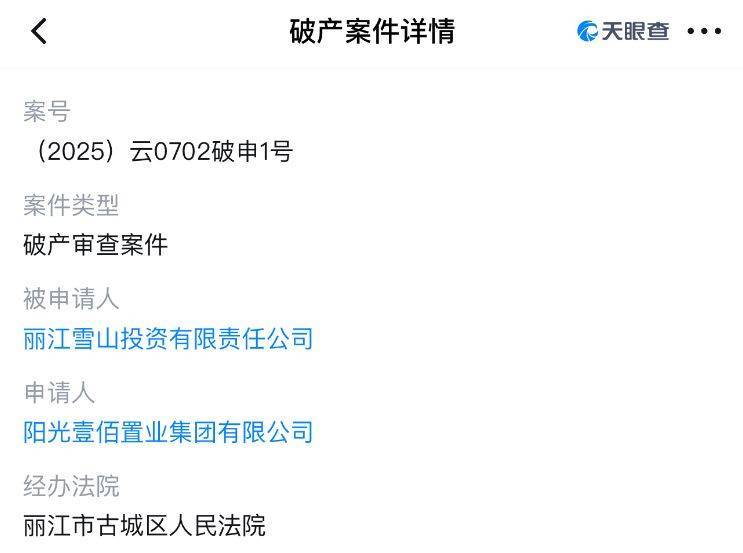 世界杯足球平台代理
_李亚鹏开发的雪山艺术小镇被申请破产世界杯足球平台代理
，原股东股权价值将归零？