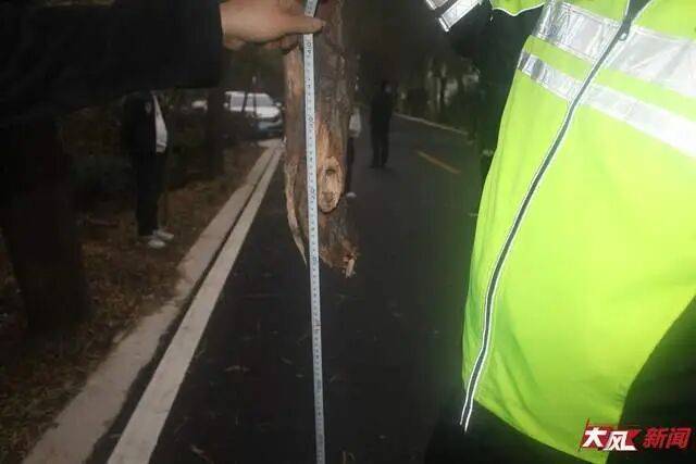 皇冠信用盘怎么弄
_陕西兴平56岁女教师骑电动车“撞树枝”身亡皇冠信用盘怎么弄
,交警判定担主责,家属提出诸多质疑,多方回应