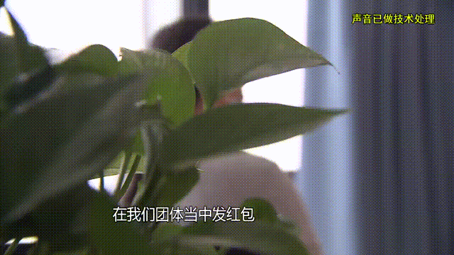 皇冠信用出租
_37岁痴情女子倾尽百万泡面果腹仍坚持转账：帮皇冠信用出租
他有种使命感