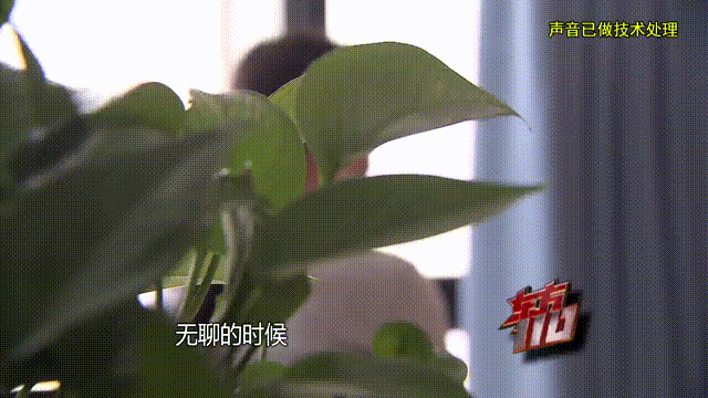 皇冠信用出租
_37岁痴情女子倾尽百万泡面果腹仍坚持转账：帮皇冠信用出租
他有种使命感