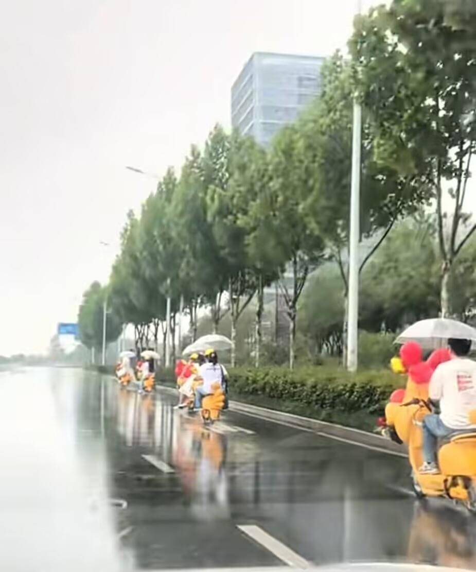 皇冠信用网代理
_合肥一对新人雨中骑“鸡动车”去结婚皇冠信用网代理
，新人：很浪漫，挺有氛围