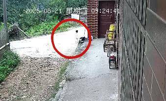 皇冠信用網登123出租
_湖南新韶突然失踪的2岁女孩平安找到皇冠信用網登123出租
，当地公安：在距离家1公里外的山林石缝中发现