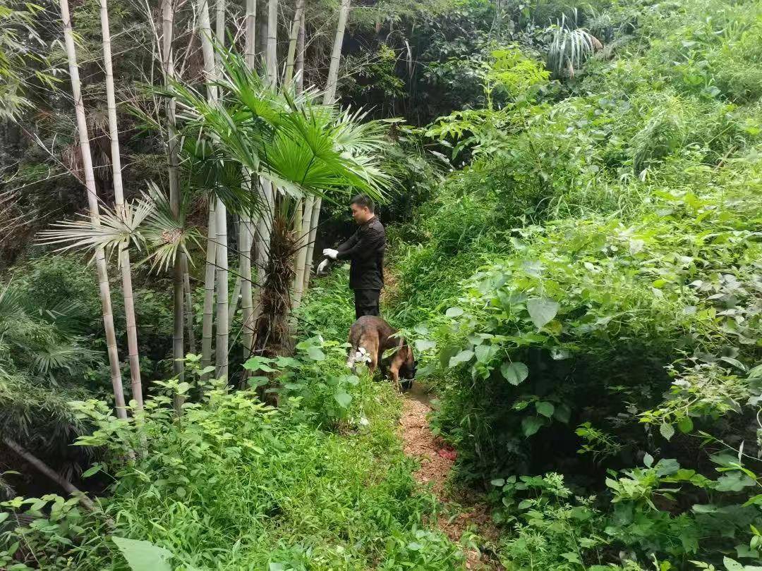皇冠信用網登123出租
_湖南新韶突然失踪的2岁女孩平安找到皇冠信用網登123出租
，当地公安：在距离家1公里外的山林石缝中发现