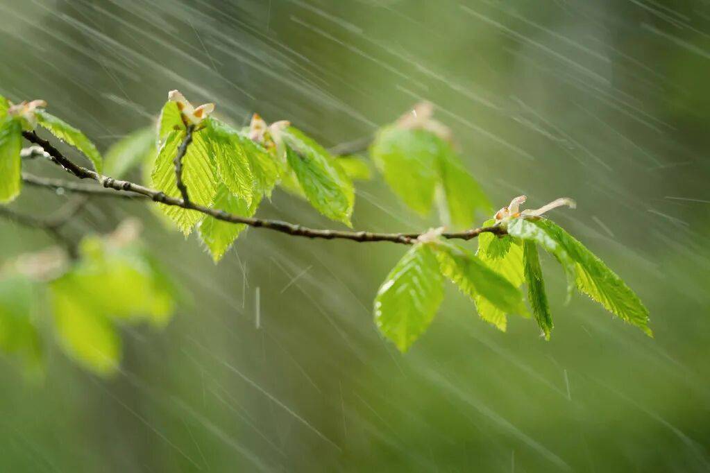怎么注册皇冠信用盘_明天我市有雷雨天气怎么注册皇冠信用盘，部分地区中雨，午后阵风风力大