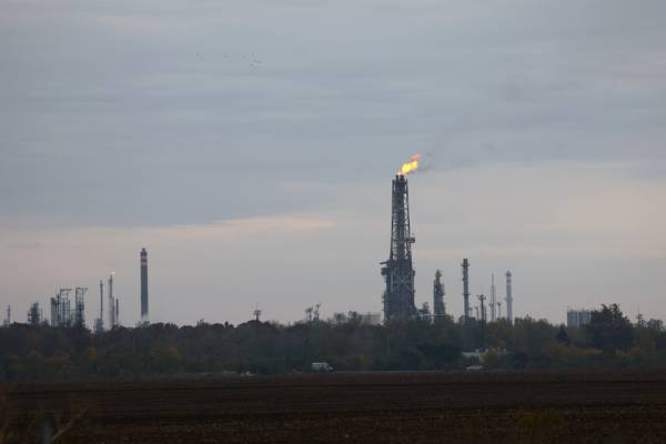 皇冠信用在线开户_普京发声：尾巴摇狗皇冠信用在线开户，非常诡异