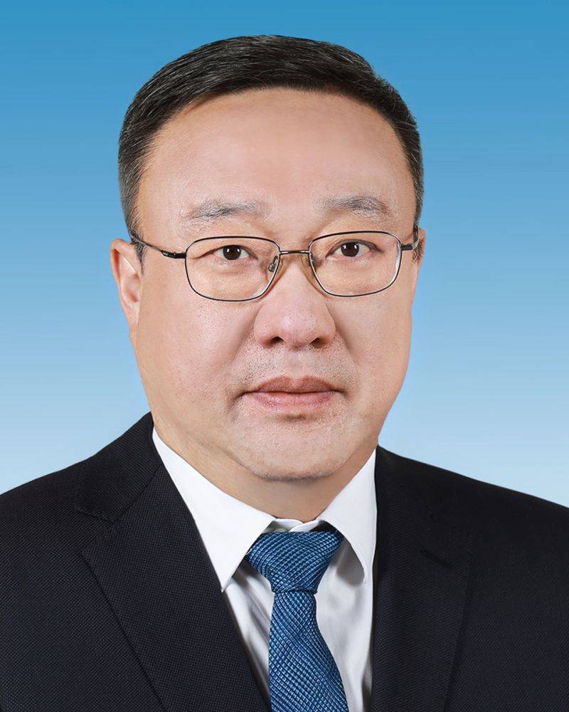 巴西乙组联赛_新一届新疆维吾尔自治区党委常委简历